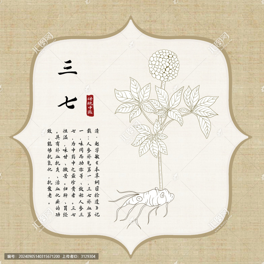 三七插畫(huà)