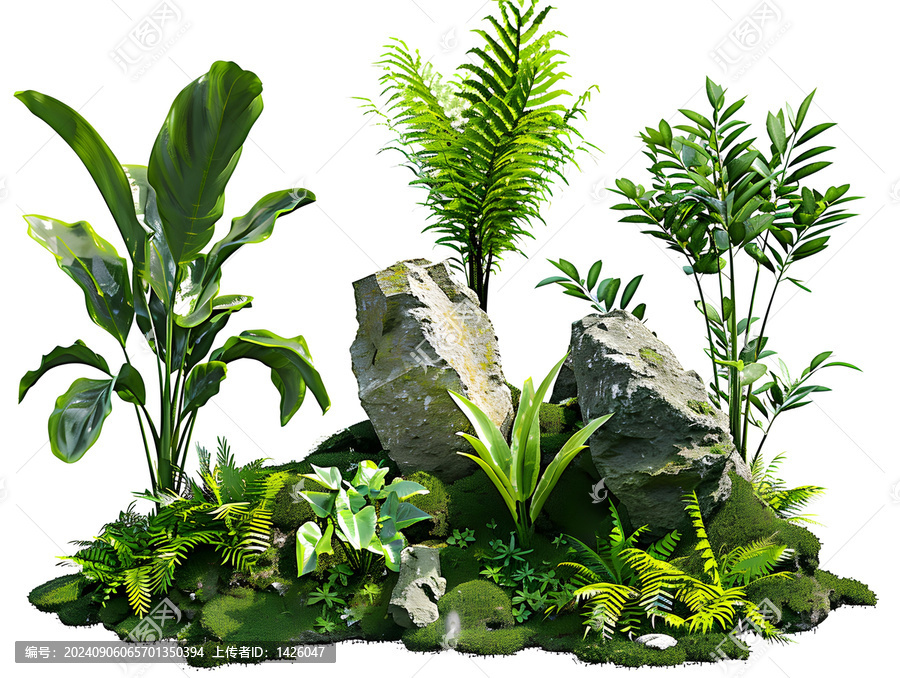 熱帶綠植島嶼
