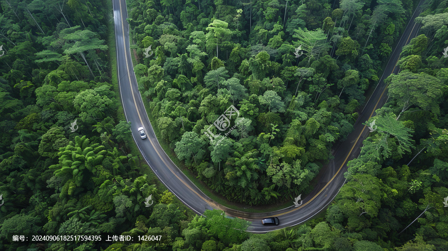 蜿蜒綠林公路