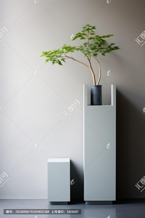 盆景與現(xiàn)代簡約風(fēng)房間