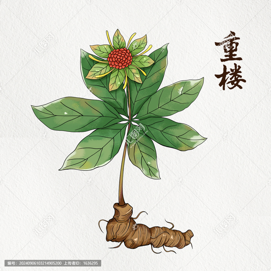 重樓插畫(huà)