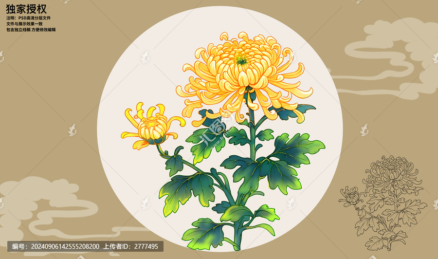 國風(fēng)手繪菊花