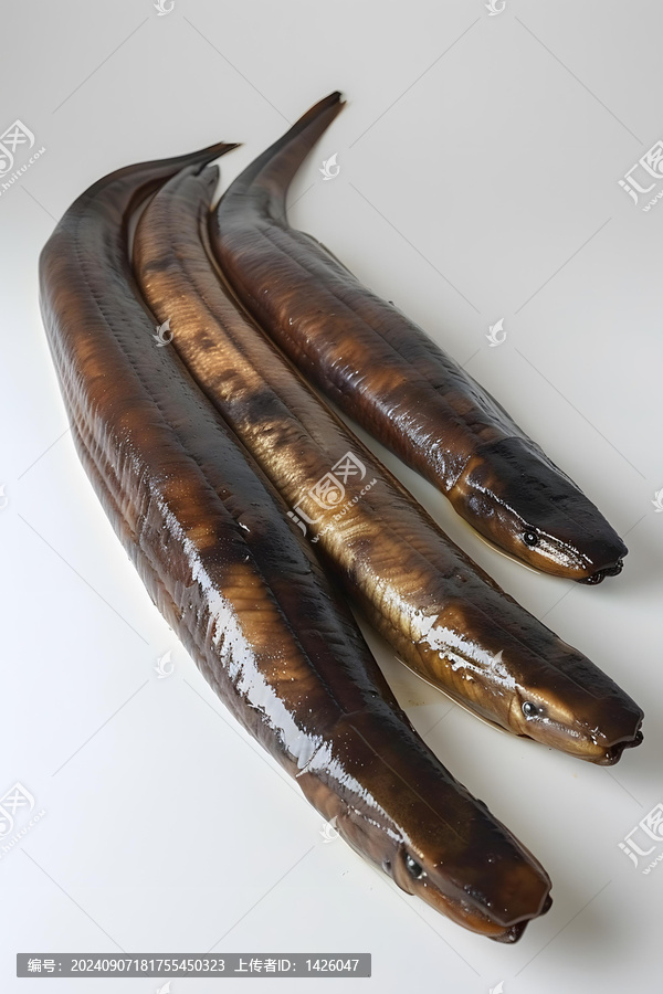 白色背景上的三條熏鰻魚