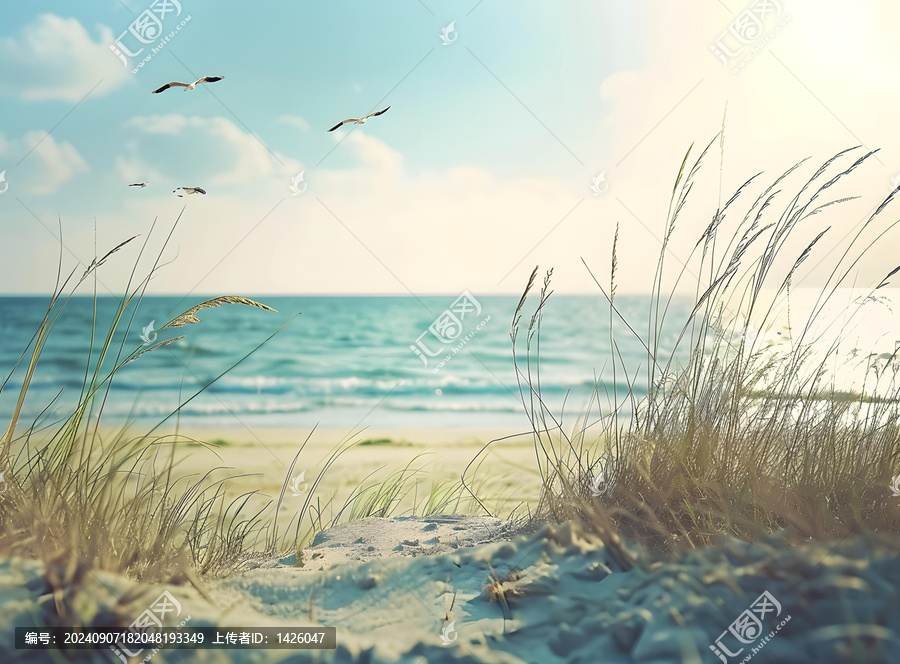 沙灘上的草叢中的海景和飛翔的鳥