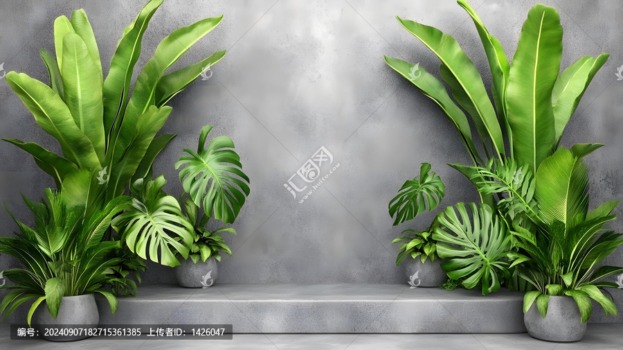 熱帶植物與灰色水泥墻的極簡(jiǎn)背景