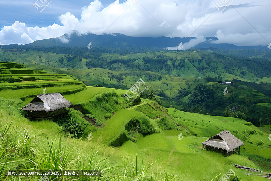 印度尼西亞巴厘島梯田稻田間的茅草屋