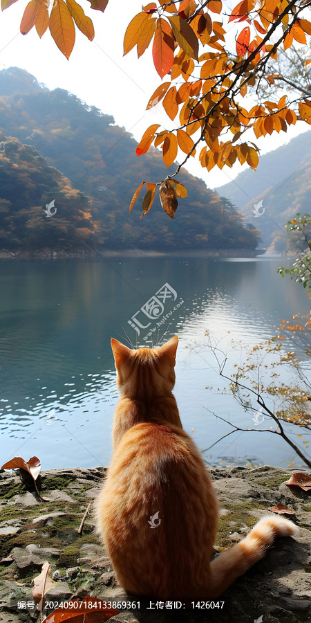 橘貓坐在湖邊，周圍是秋天的樹葉