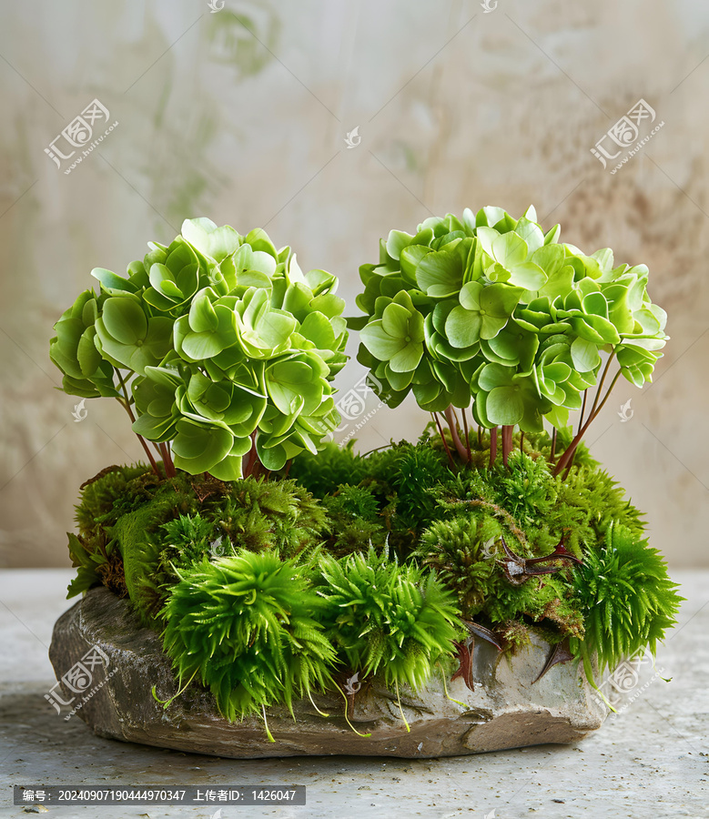 綠色植物和苔蘚組成的微型花園
