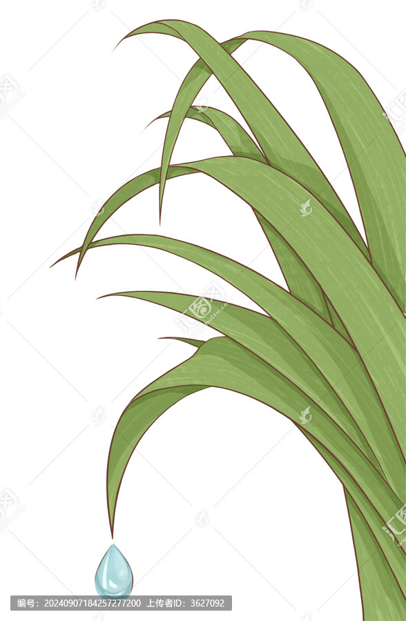綠葉露水節(jié)氣白露插畫