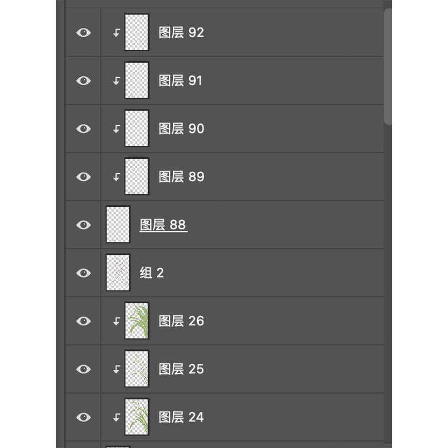 綠葉露水節(jié)氣白露插畫