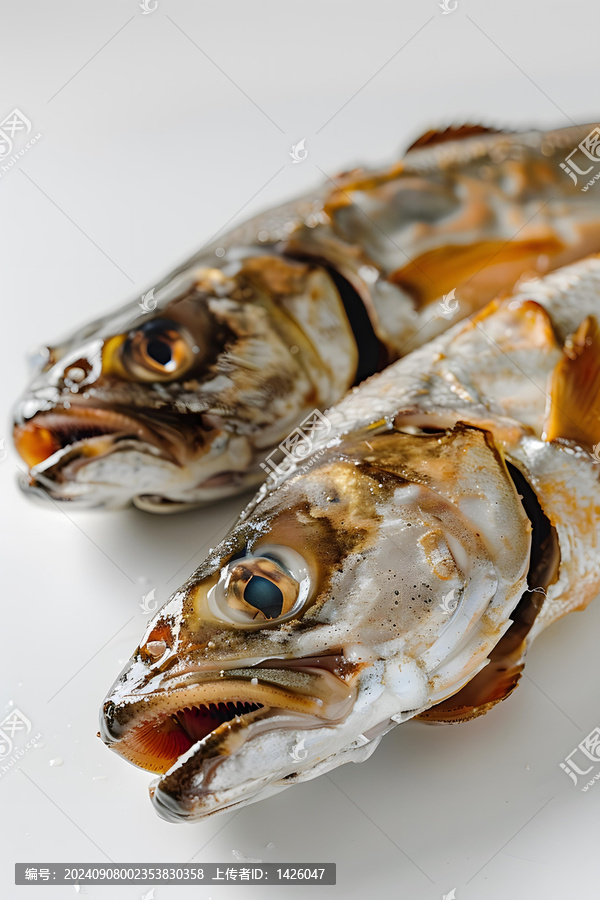 兩條死魚的AI圖片