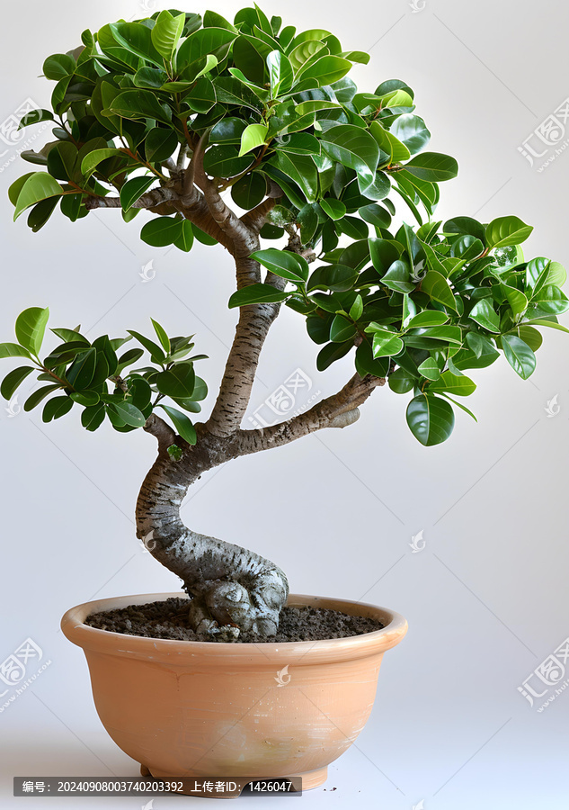 盆景的AI圖片