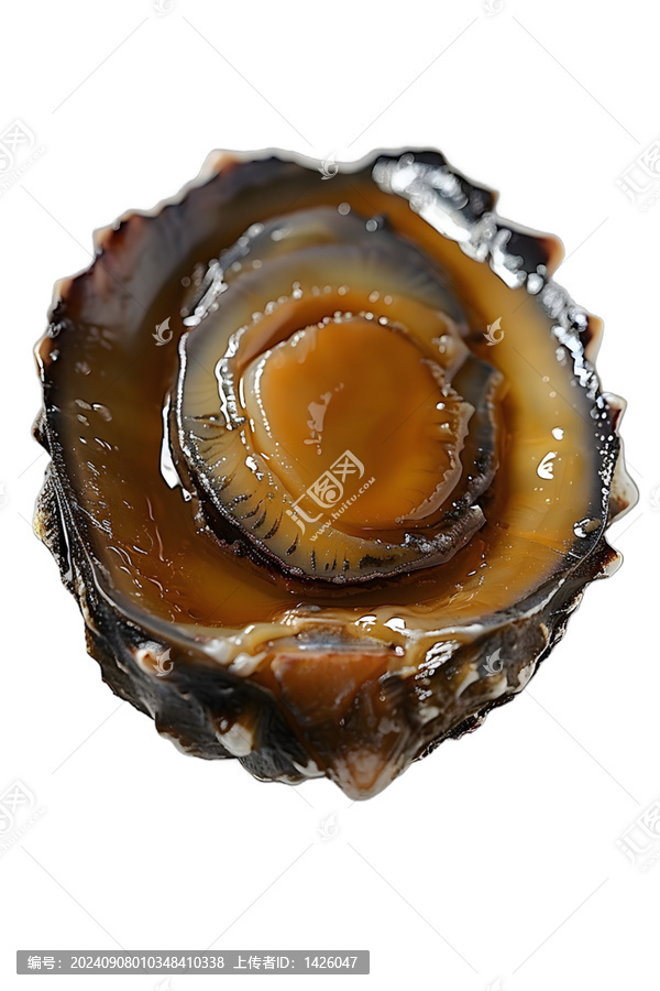[免摳素材]清蒸鮑魚美食