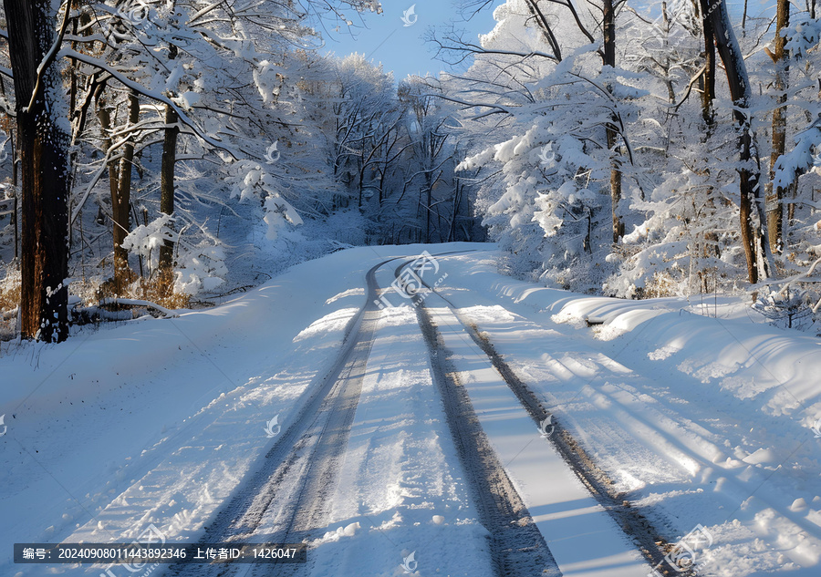雪覆蓋的道路穿過樹木的冬季景觀