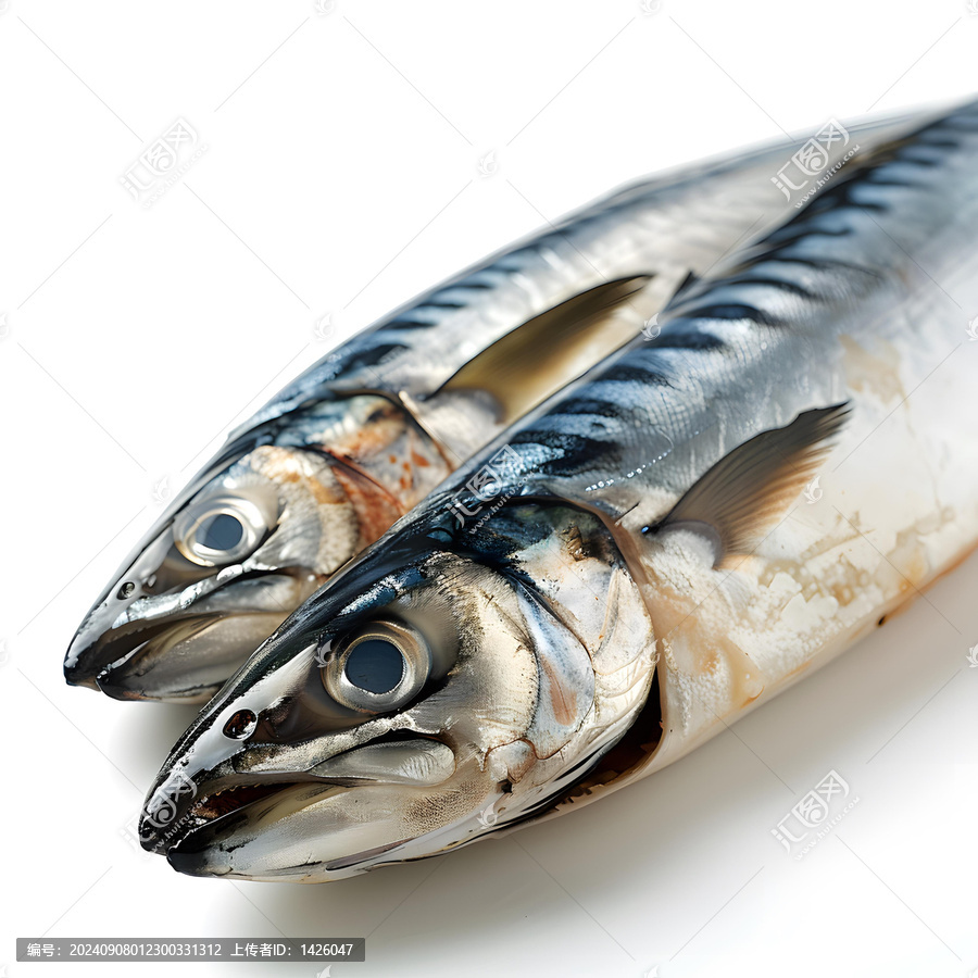 兩條新鮮的鯖魚