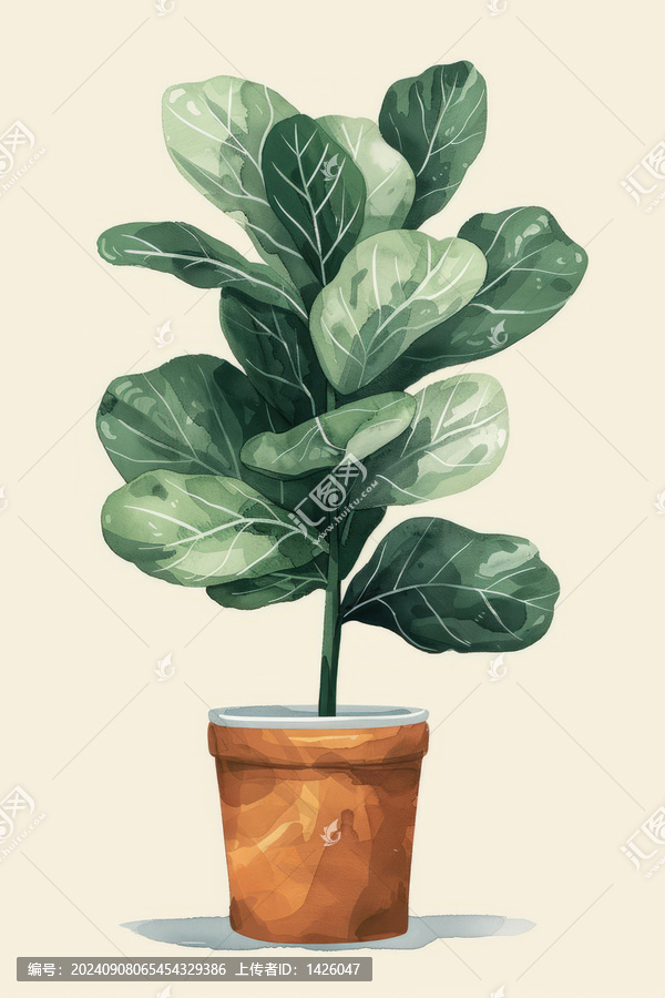 盆栽榕樹的水彩