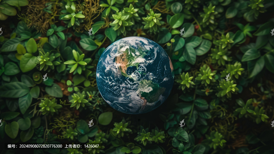 地球日海報(bào)：拯救地球