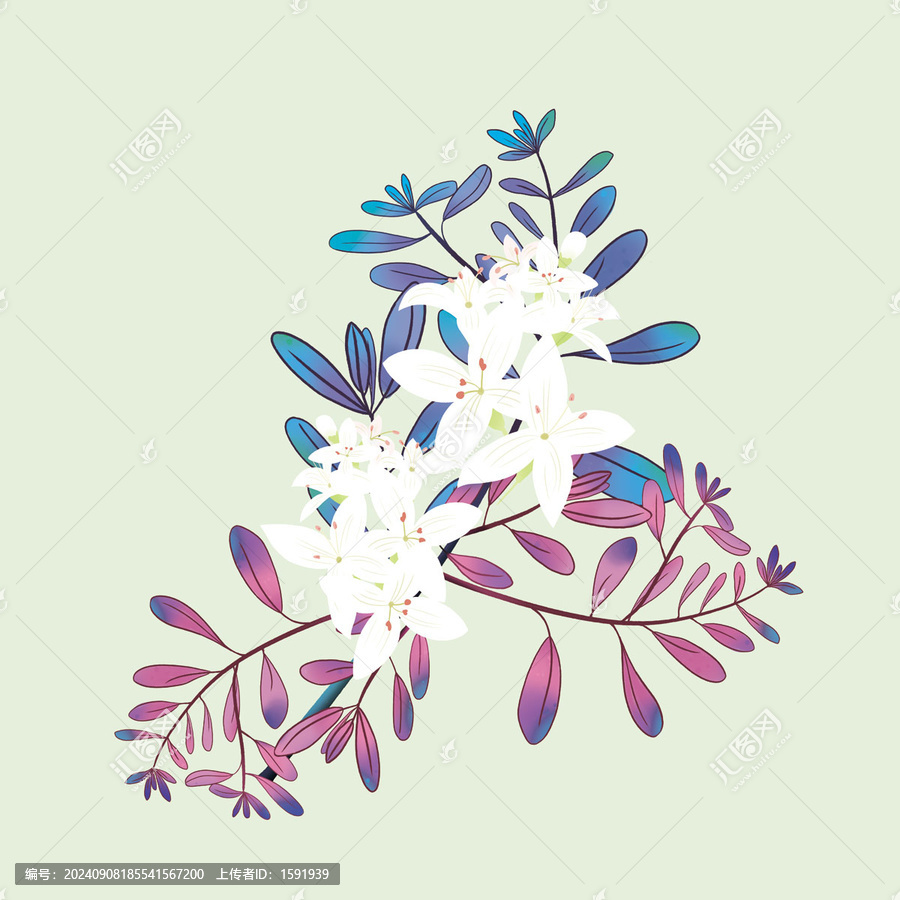 手繪熱帶風(fēng)葉子花朵