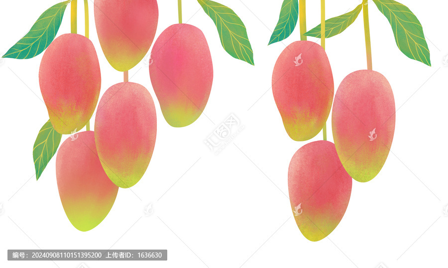 芒果