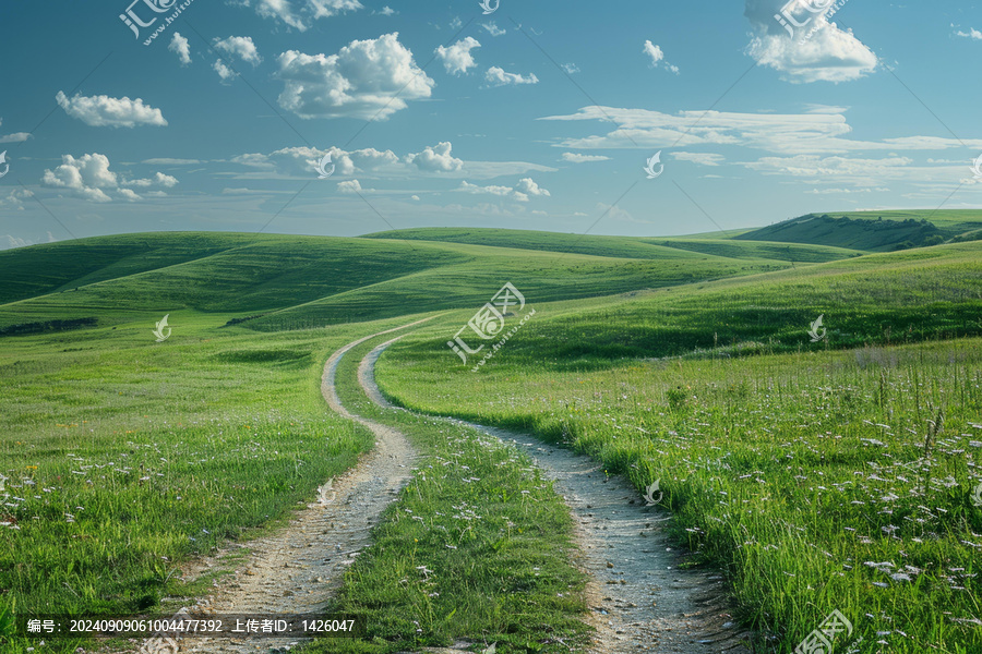 穿過青翠山丘的土路