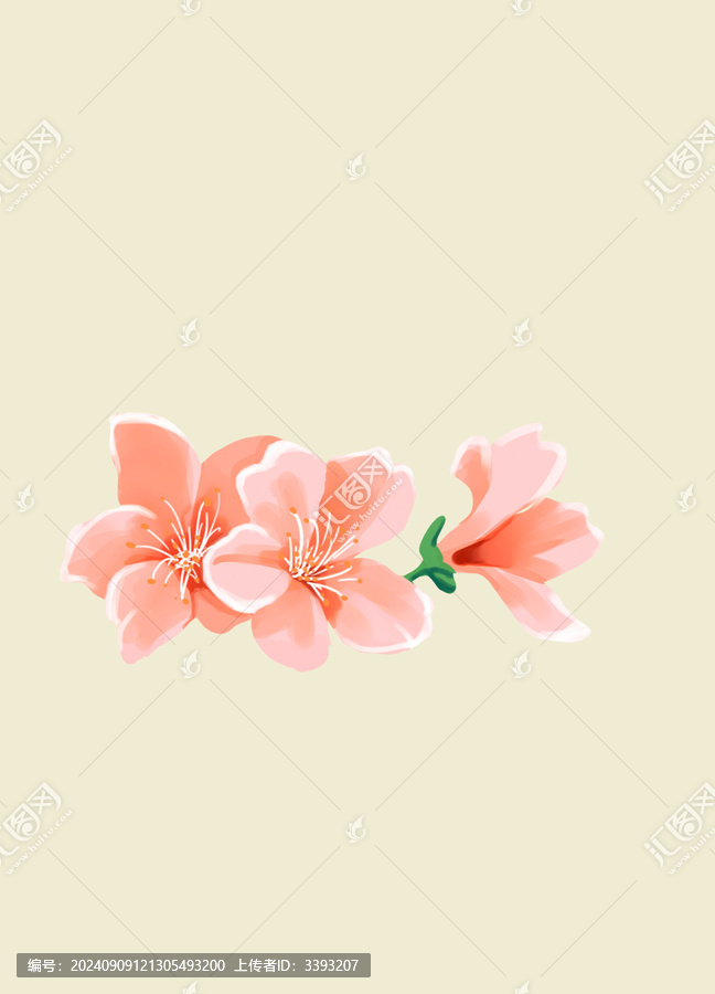 花朵