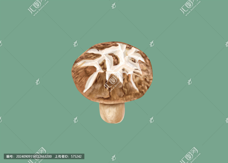 手繪花菇