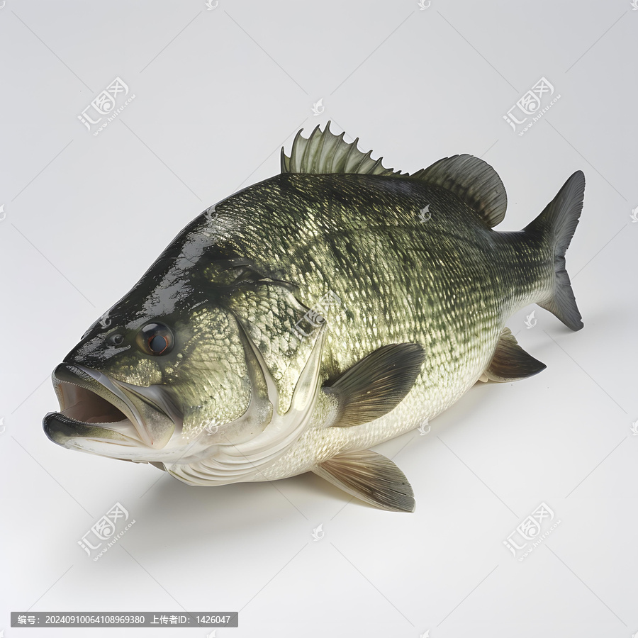 白底黑魚的AI圖片