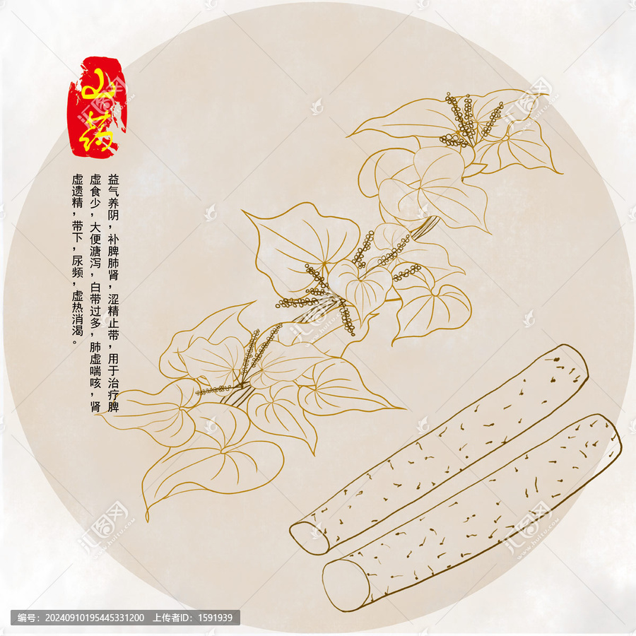 手繪山藥插畫線稿