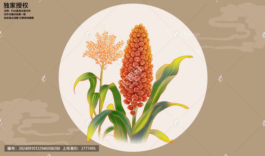 手繪高粱