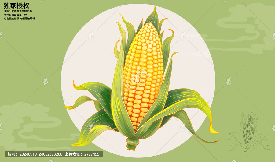玉米插畫