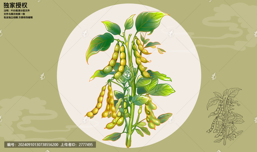 大豆插畫