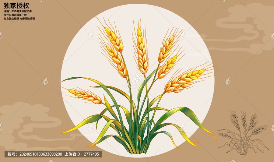 燕麥插畫