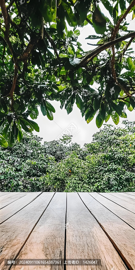 綠葉木板地板背景