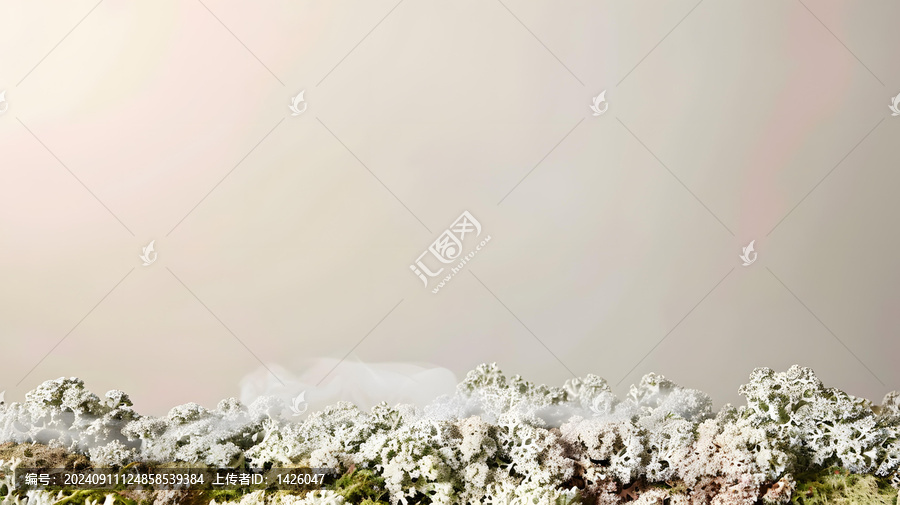 白色馴鹿苔蘚特寫背景