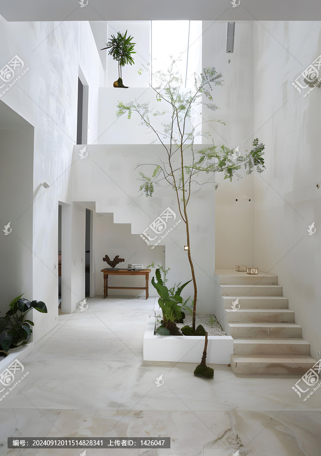 極簡主義現(xiàn)代室內(nèi)設(shè)計,白色墻壁和植物