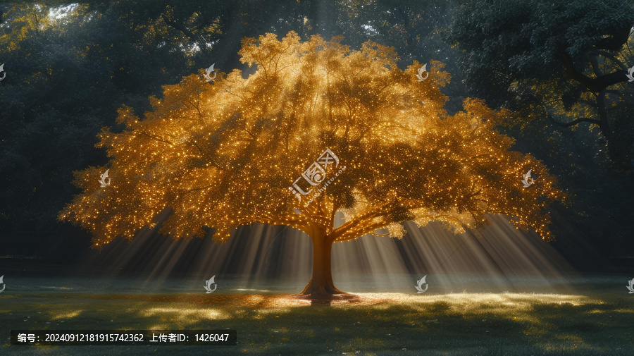 樹枝間透射出金色光芒的奇幻金葉樹