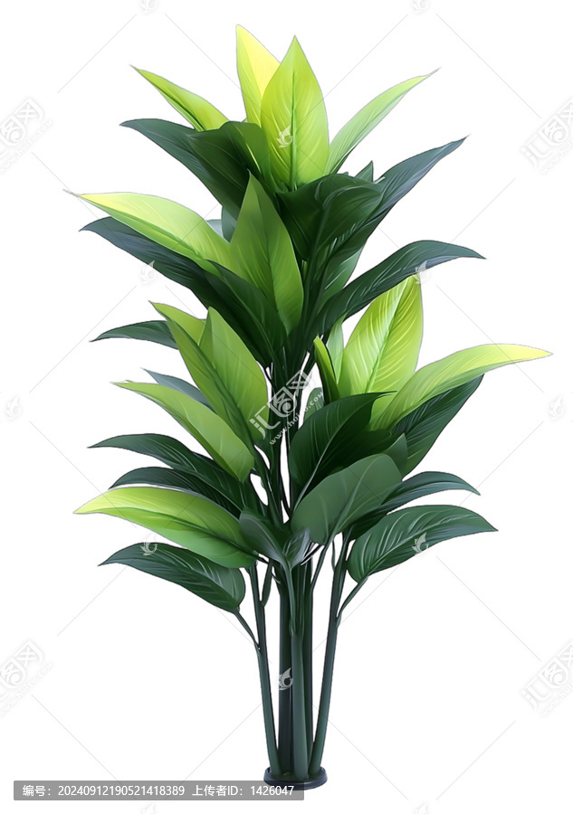 [免摳素材]白色背景下的綠色人造植物