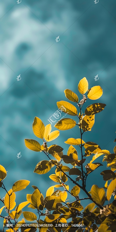 藍天黃葉的AI圖片