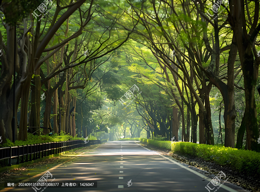 綠樹成蔭的林間小路