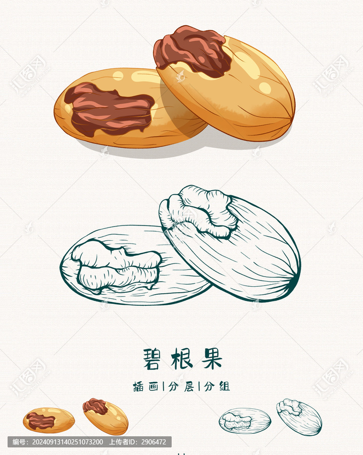 碧根果插畫版畫