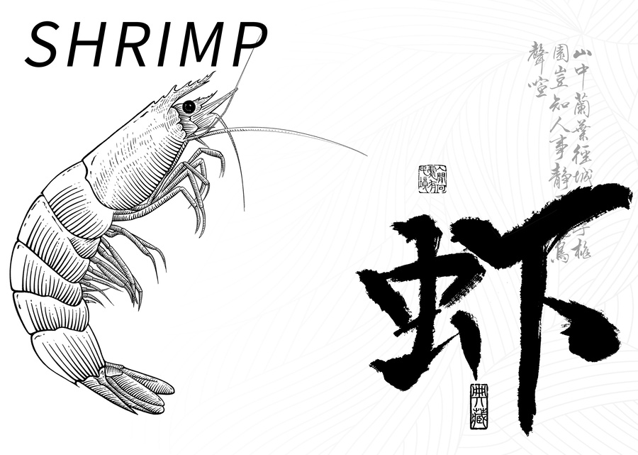 大蝦插畫(huà)禮盒包裝