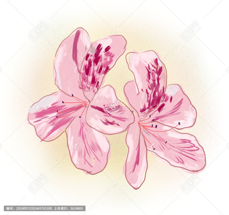 手繪鮮花百合