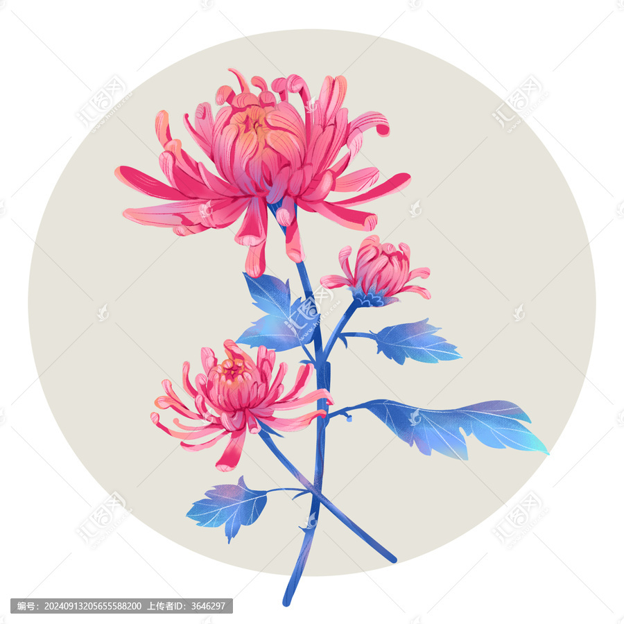 菊花