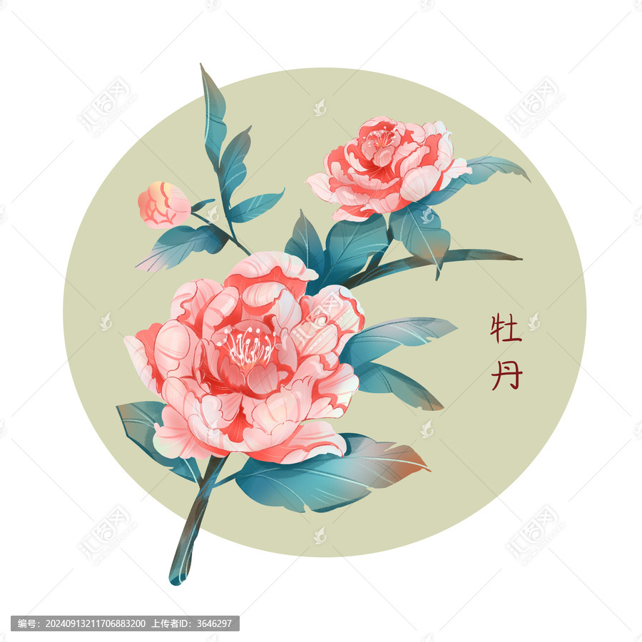 牡丹