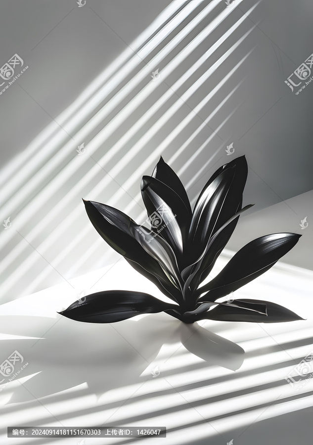 黑色植物與陽光條紋