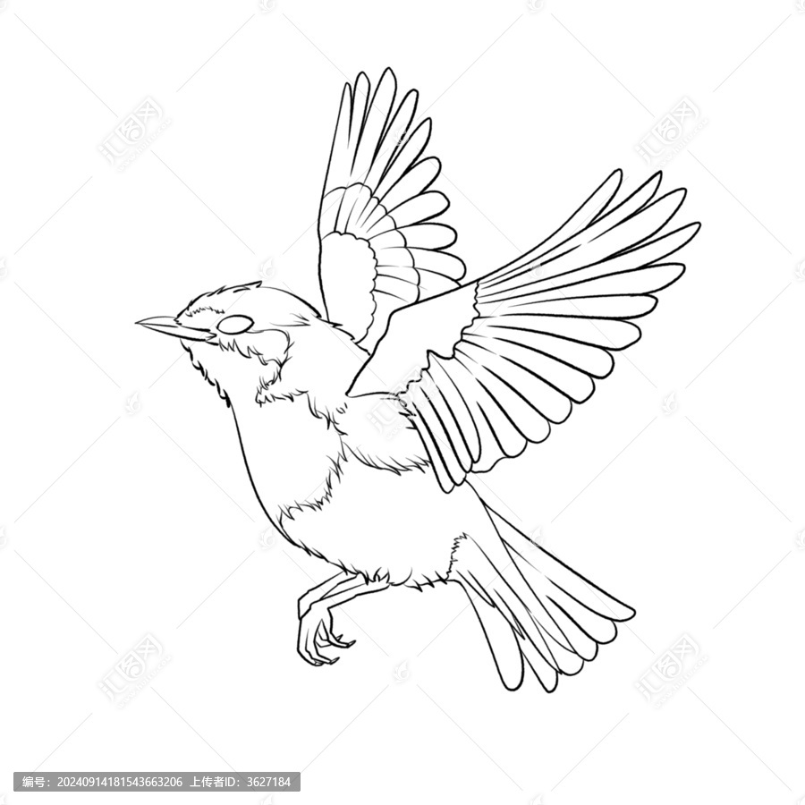 飛禽鳥