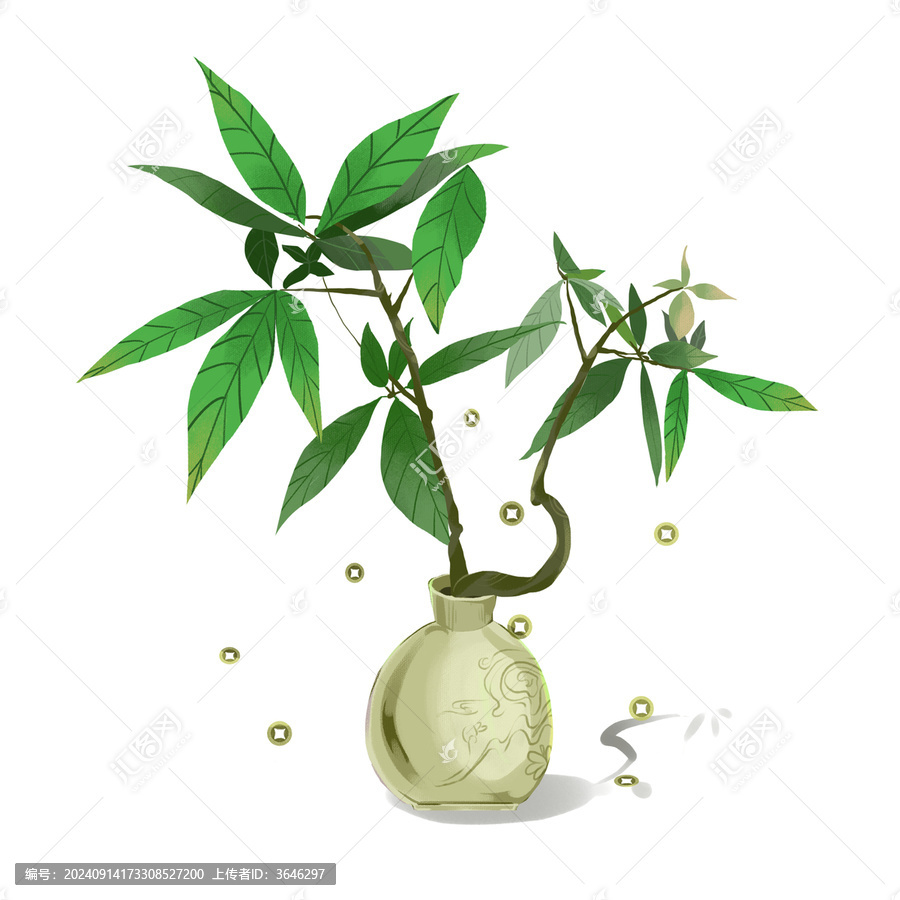 小發(fā)財(cái)樹(shù)