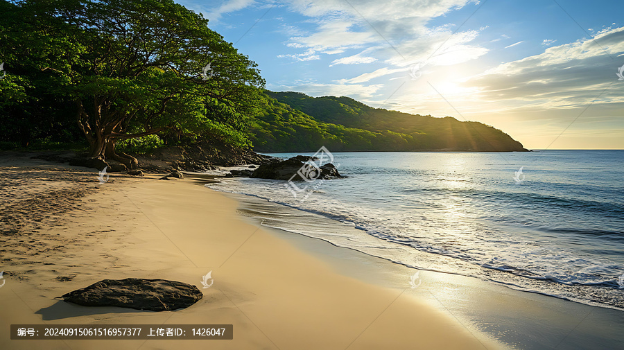 金色沙灘，樹(shù)木和巖石海岸線日落