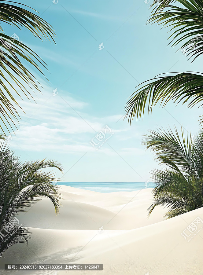 熱帶海灘夏季度假棕櫚樹天空和大海