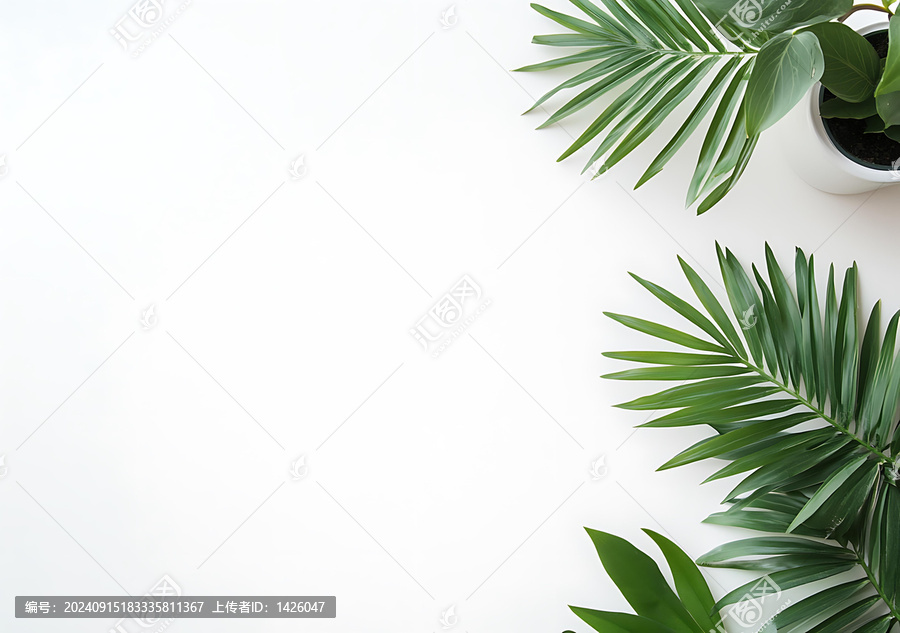 簡約白色背景綠色棕櫚葉